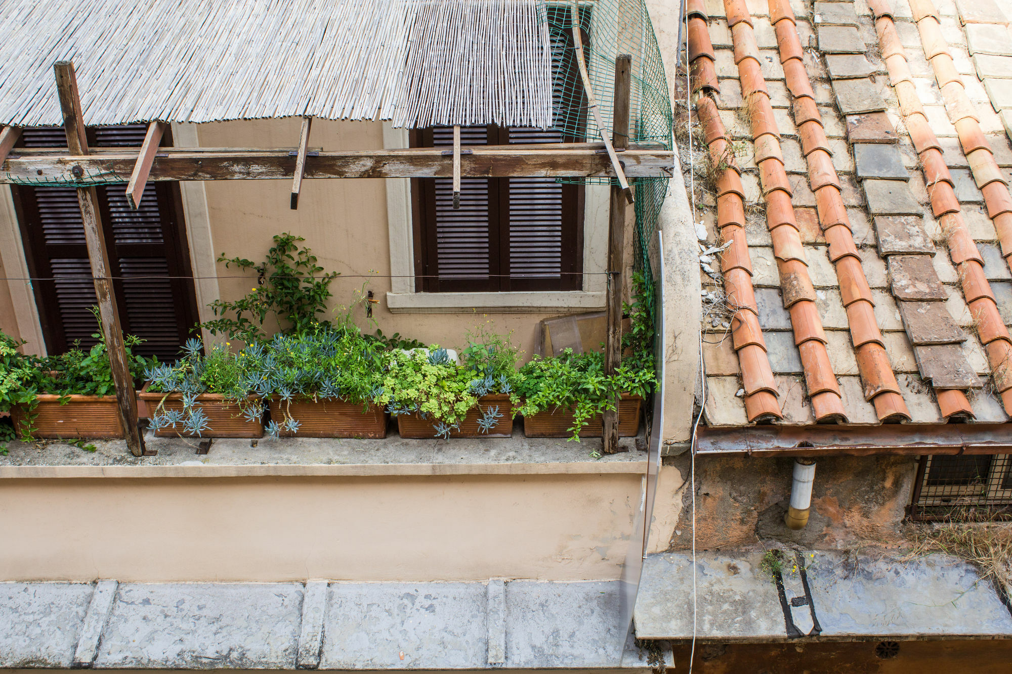 Sant Onofrio Apartment ローマ エクステリア 写真